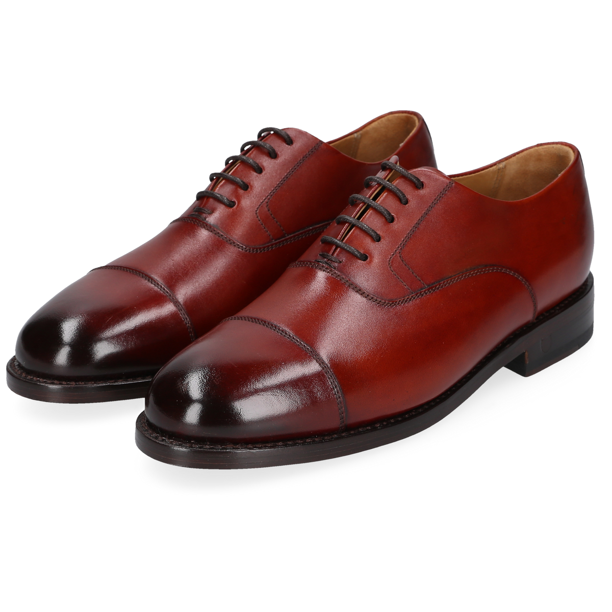 Henry Stevens Ladies Ella-CO-006