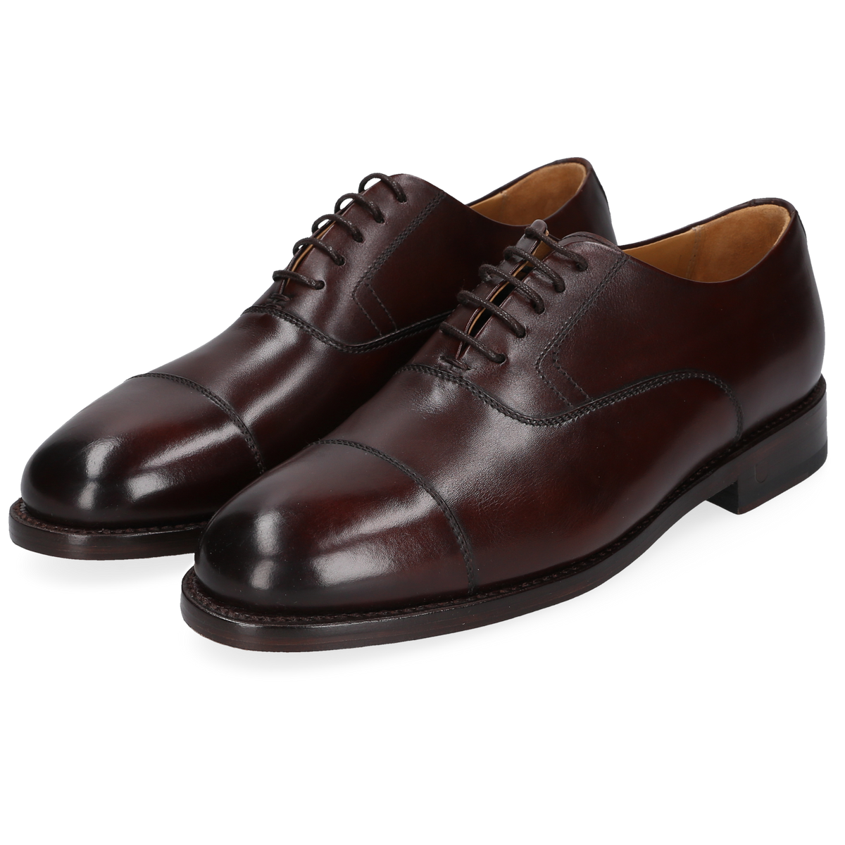 Henry Stevens Ladies Ella-CO-006