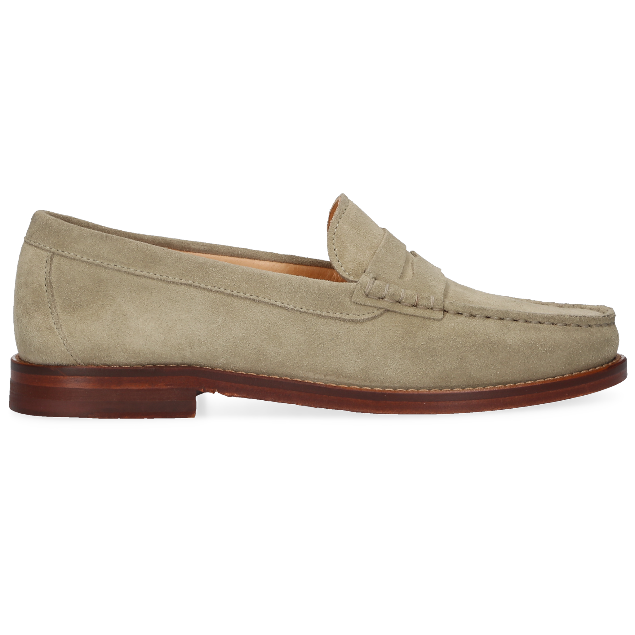 Henry Stevens Damen Riley W-PL-008