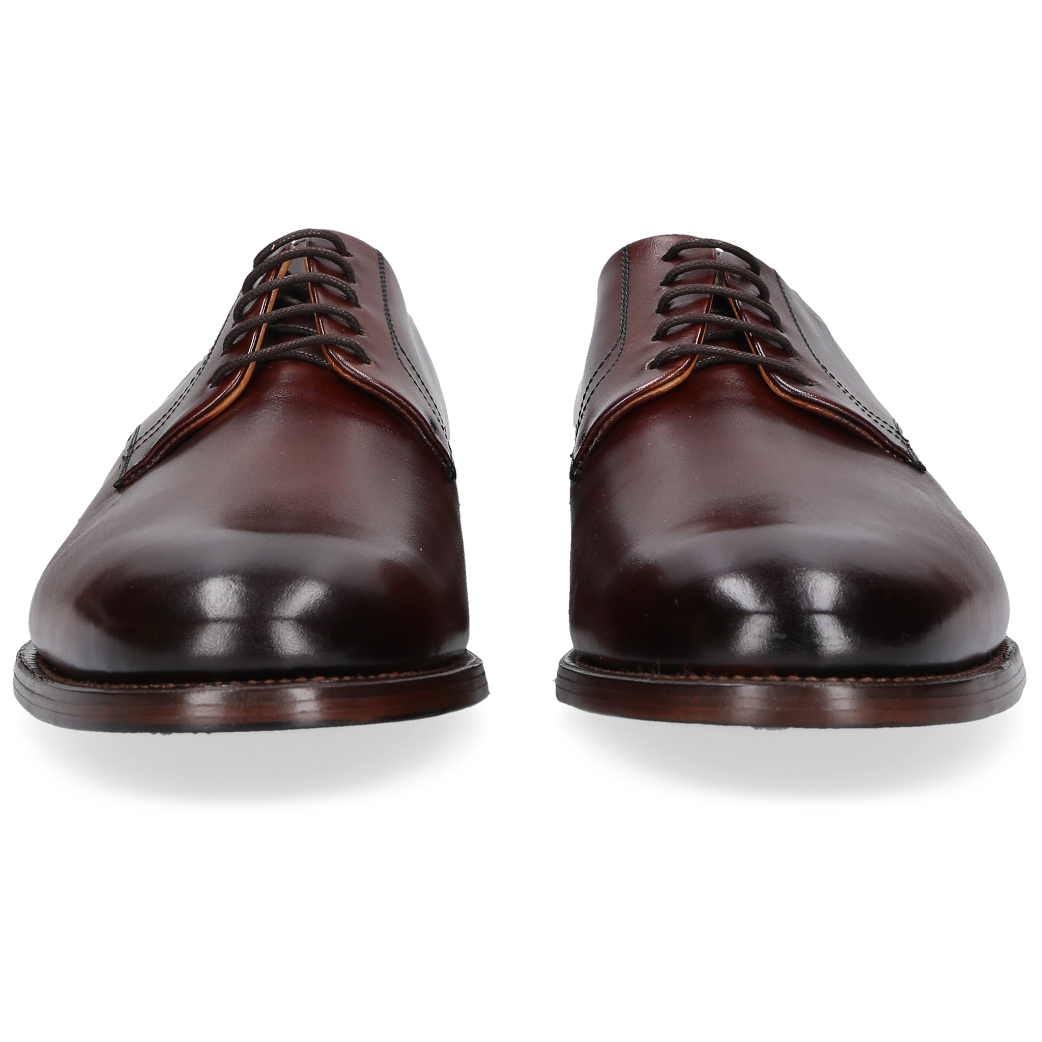 Henry Stevens Herren Winston PD - Black Brown