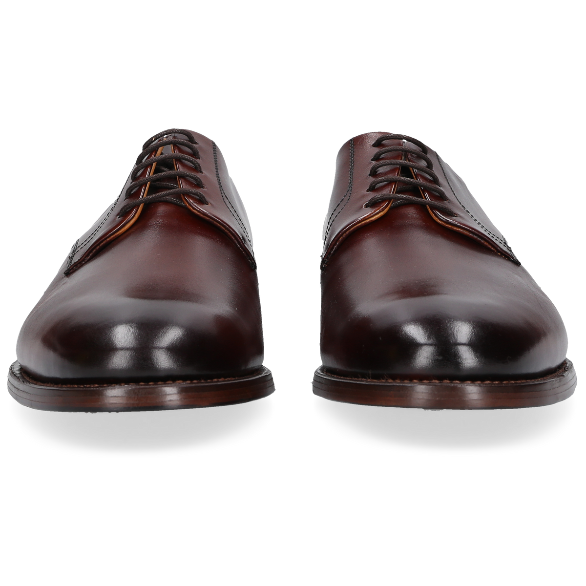 Henry Stevens Men's Winston PD - Black Brown