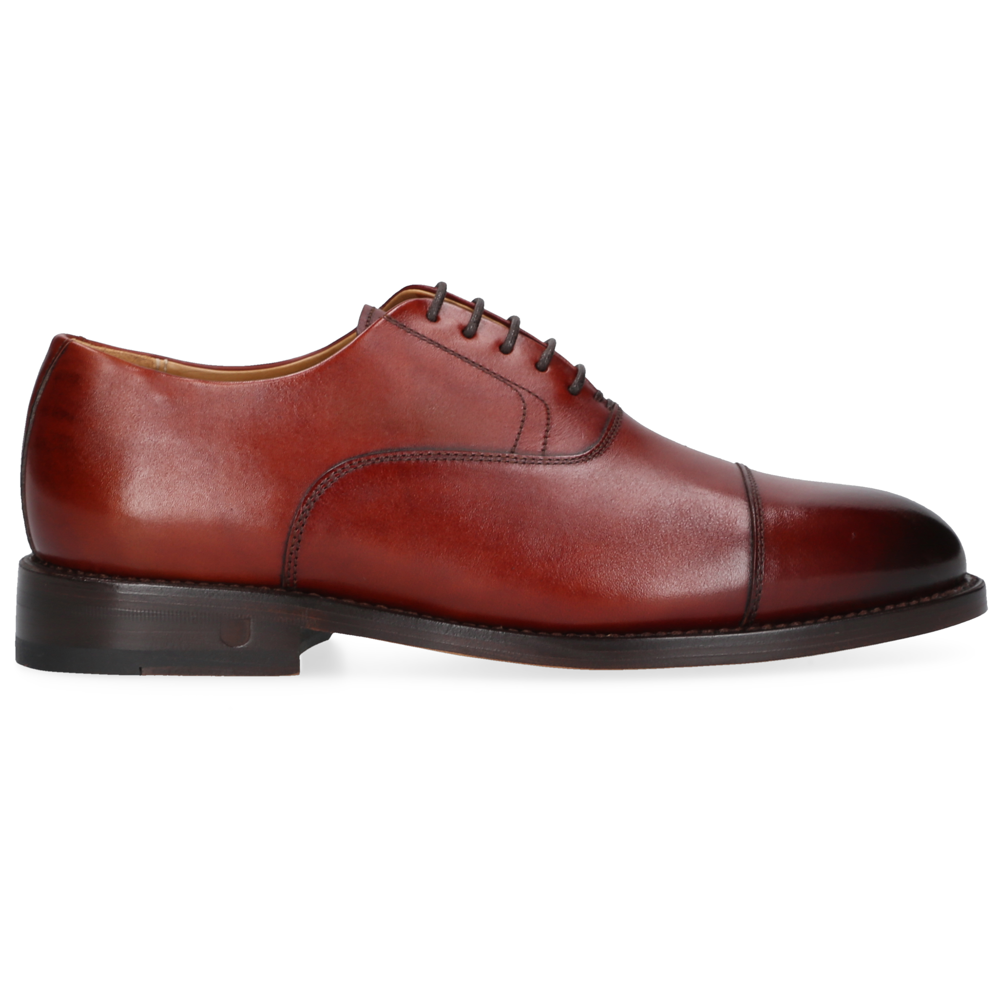 Henry Stevens Damen Ella-CO-006