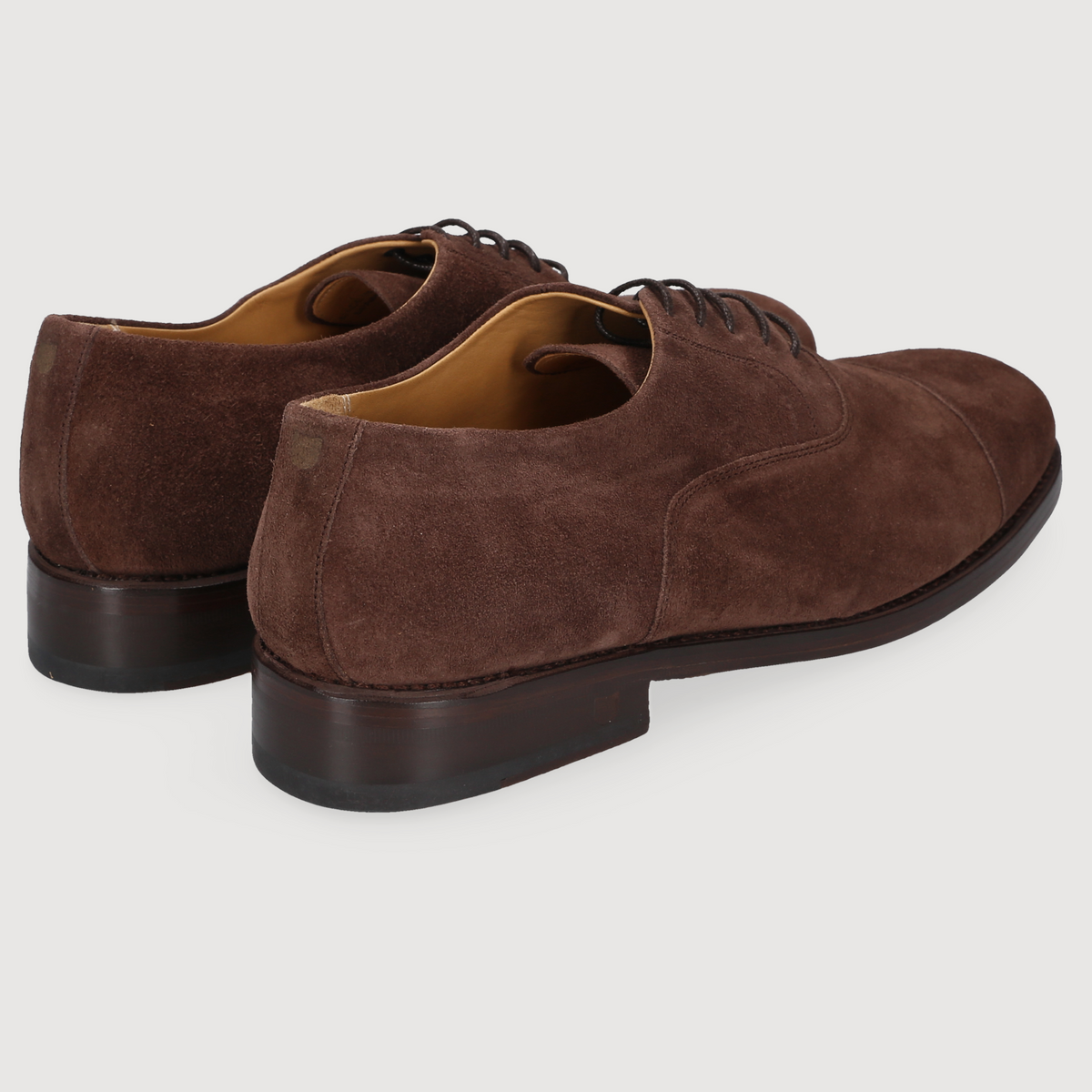 Henry Stevens Ladies Ella-CO-008