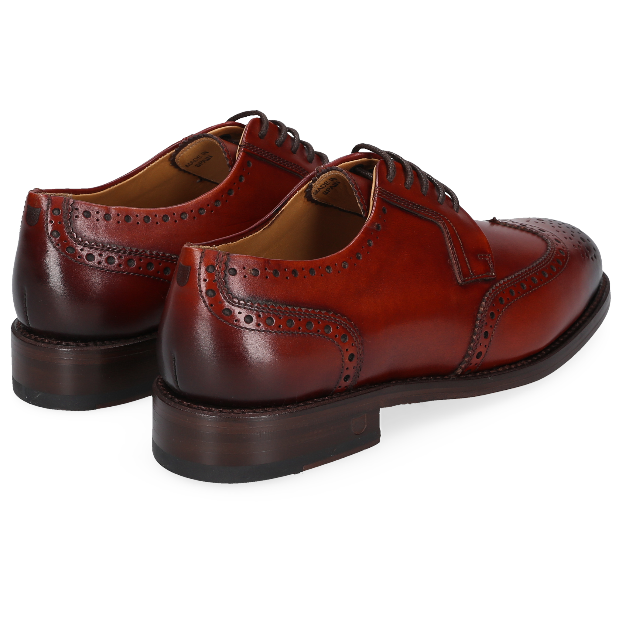 Henry Stevens Ladies Ella-FBB-006