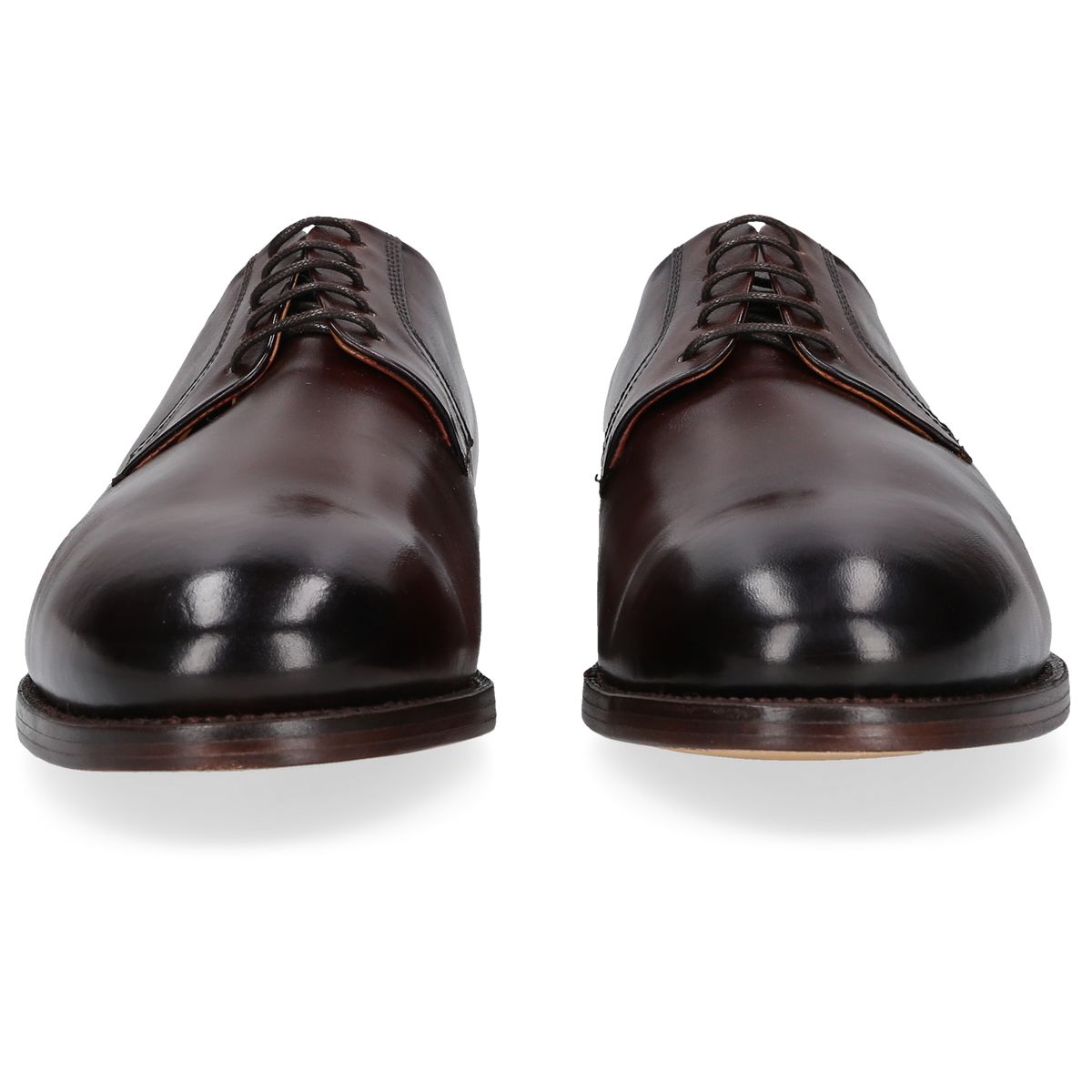 Henry Stevens Ladies Ella-PB-006