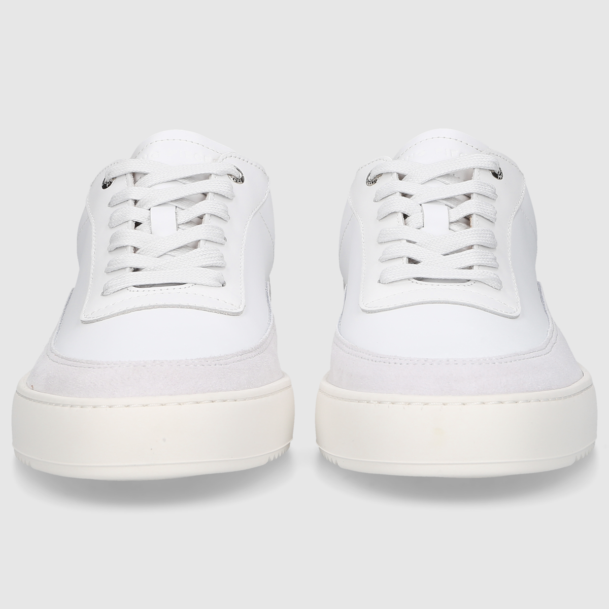 Mondo Squash - White