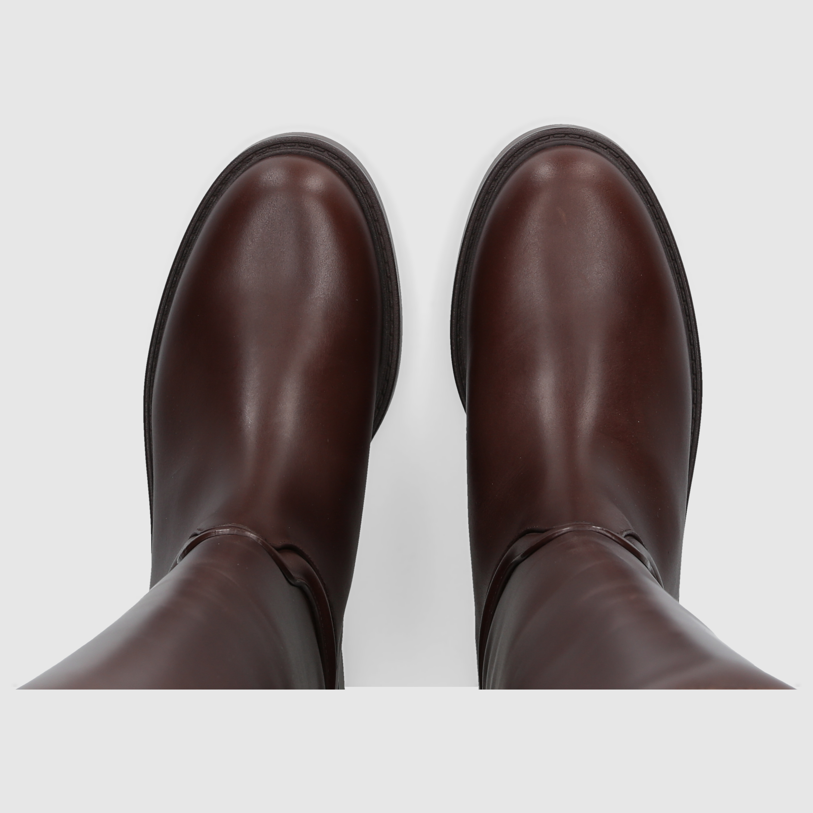 Stuart Weitzman Damen Boot CELIA RIDING BOOT Walnut