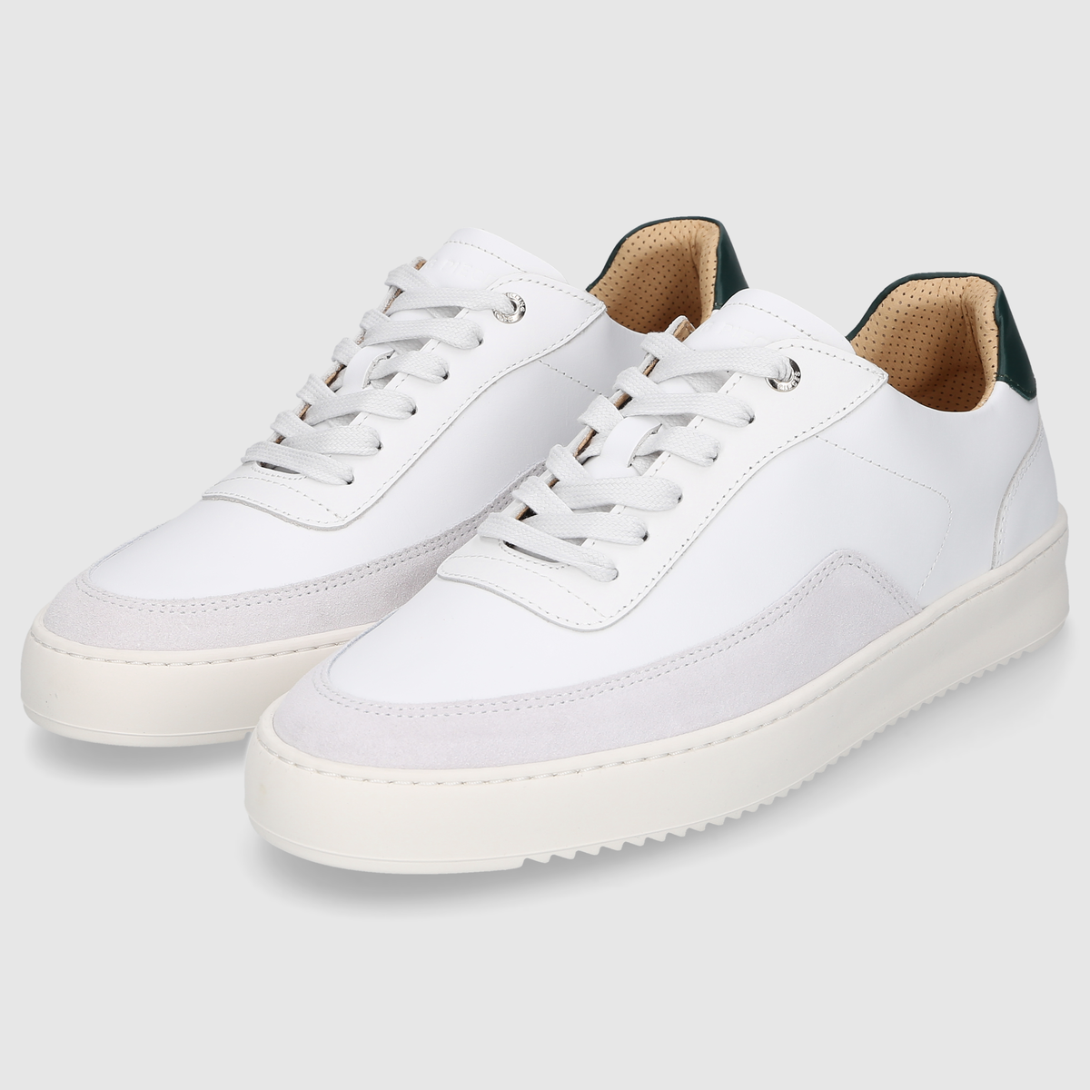 Mondo Squash - White